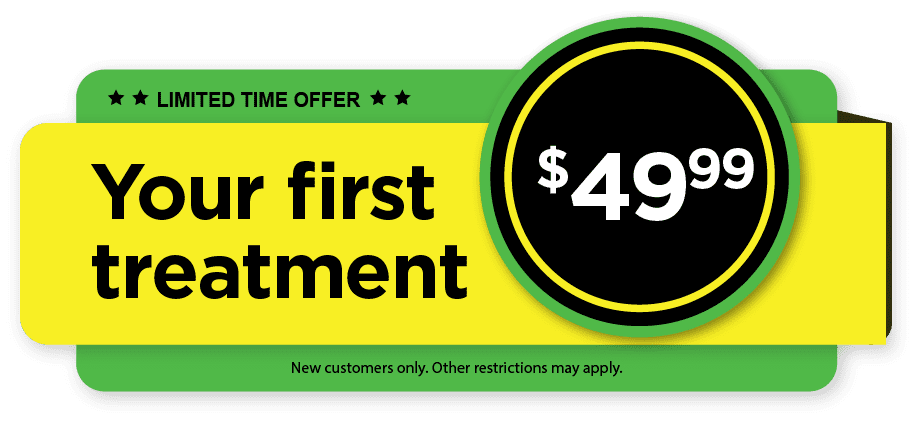mosquito joe 49$ first treatment coupon